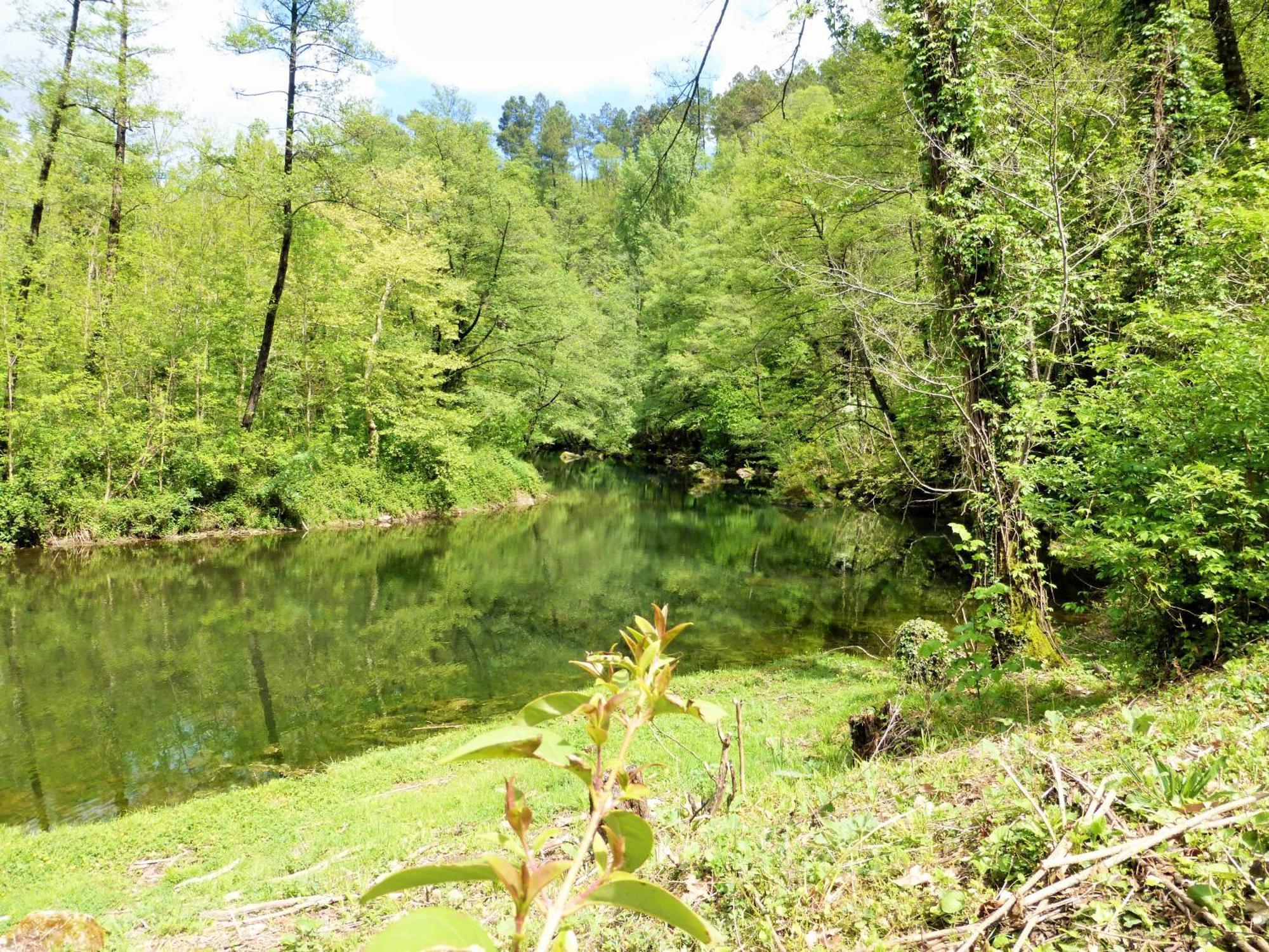 Chateau Du Fraissinet, 6 Gites Sleeping 2-8 Guests, Pool And River On Site La Tronche  Eksteriør billede